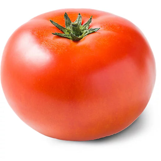 TOMATO - REGULAR