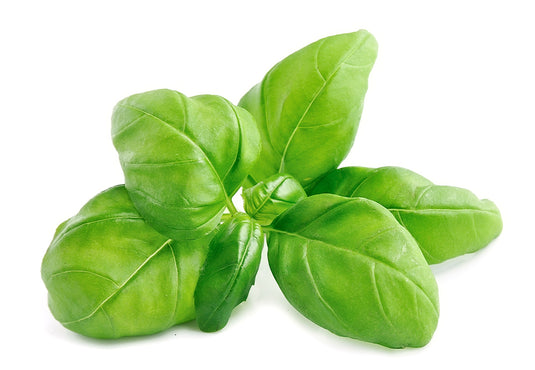 BASIL