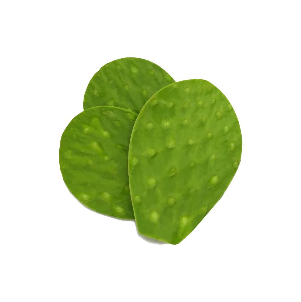 inawera cactus lime ALOE VERA