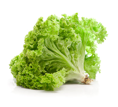 LETTUCE - GREEN LEAF