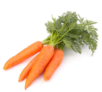 CARROT - BUNCH