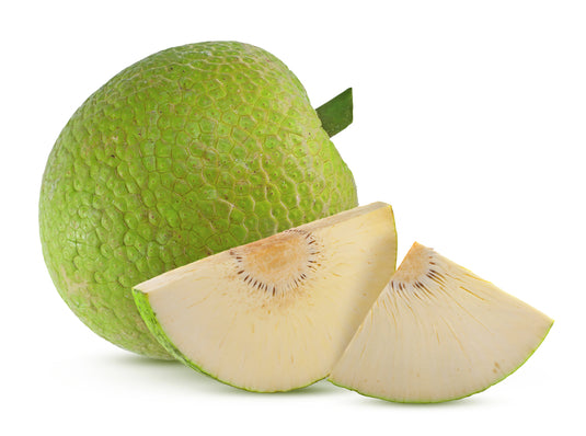 BREADFRUIT